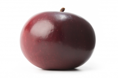 Arkansas Black Apple / Arkblack Apple