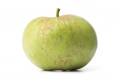 Rhode Island Greening Apple