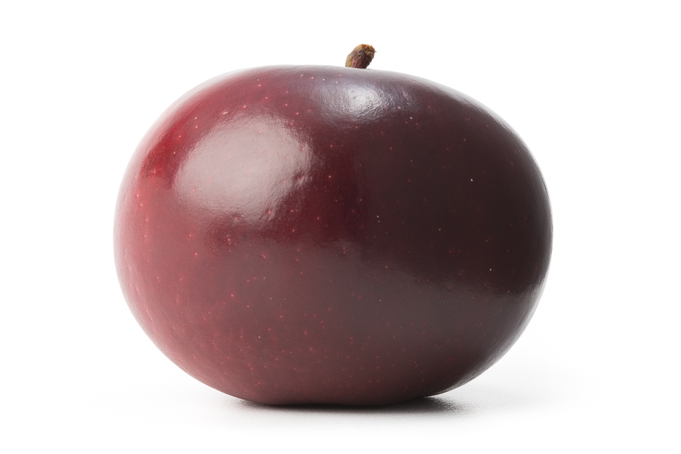 Arkansas Black Apple / Arkblack Apple