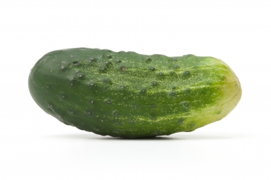 Green Kirby Cucumber