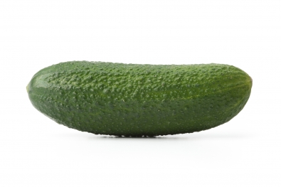 European Kirby Cucumber
