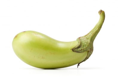 Little Green Eggplant