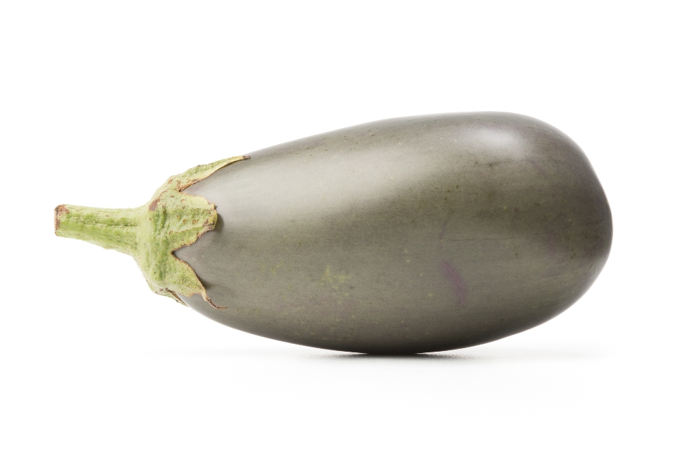 Mystery Oak Grove Eggplant