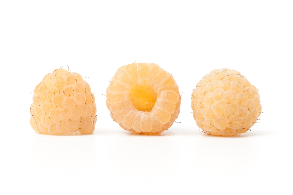 Golden Raspberries