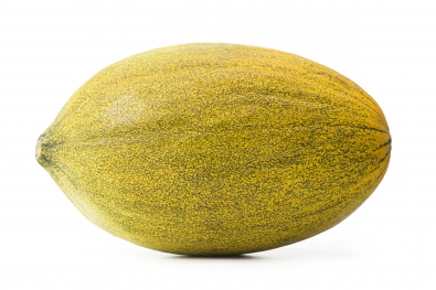 Amarillo Oro Melon