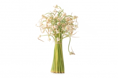 Flowering Garlic Scapes