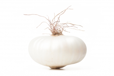 White Cipollini Onion