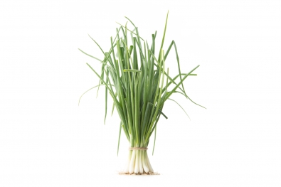 Yellow Spring Onions