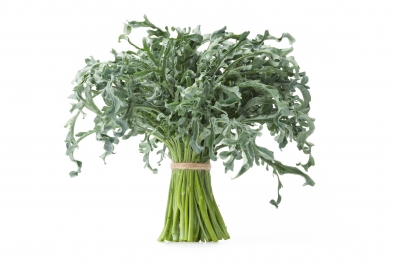 Spigarello Broccoli / Cima di Rapa