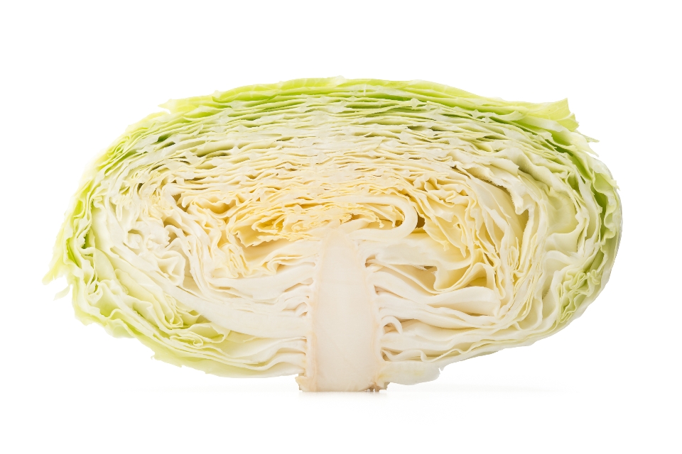 Big Flat Head Cabbage