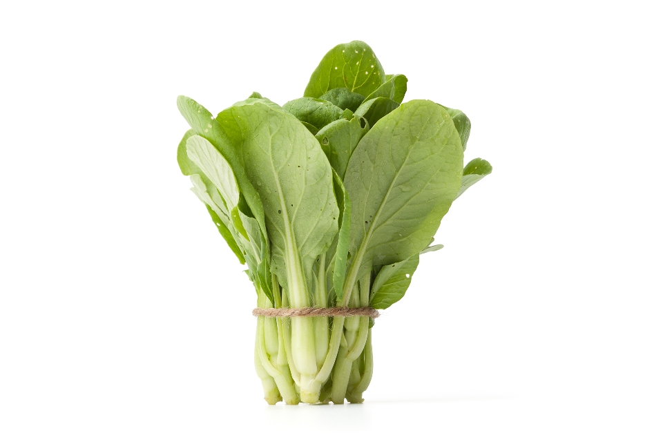 Bok Choi
