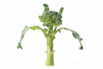 Piracicaba Broccoli