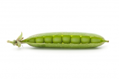 English Peas / Green Shell Peas / Green Garden Peas