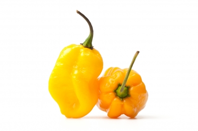 Yellow Habanero Peppers