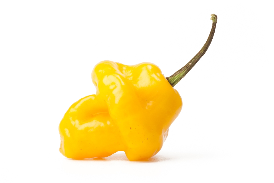 Yellow Aji Dulce Pepper