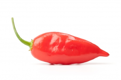 Red Hawai'ian Habanero Pepper