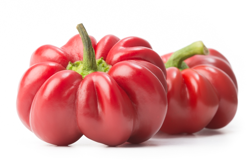 Red Round of Hungary Peppers