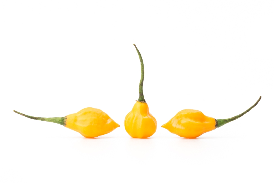 Yellow Torch Peppers
