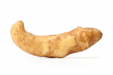 Austrian Crescent Potato
