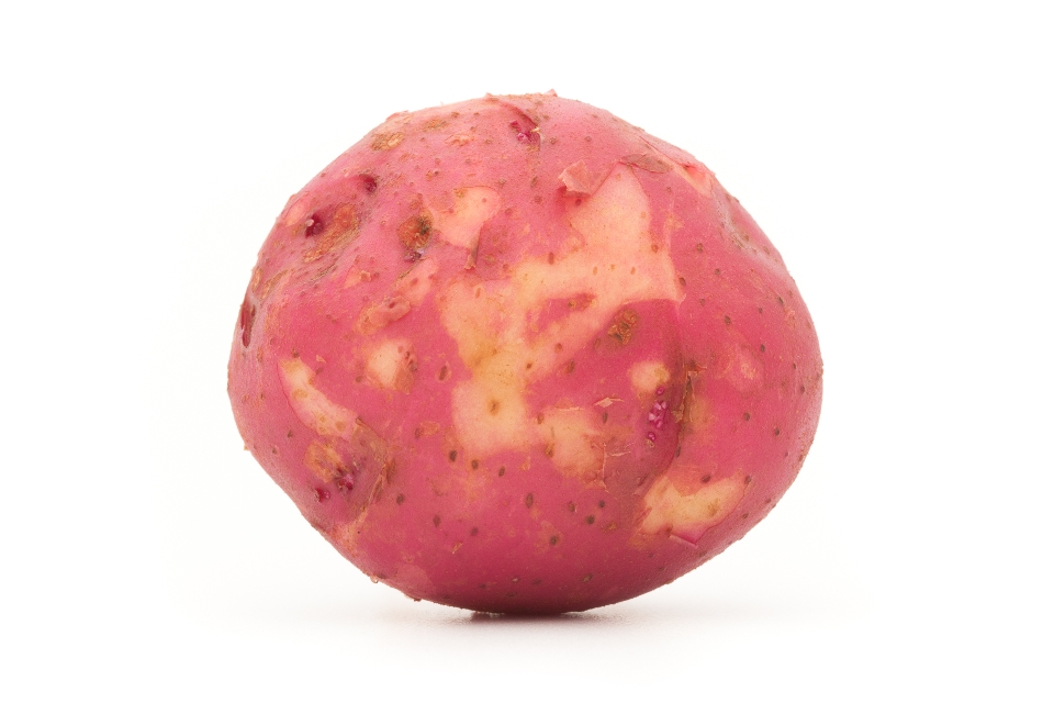 Red Norland Potatoes