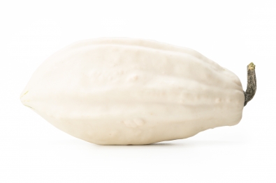 White Decorative Gourd