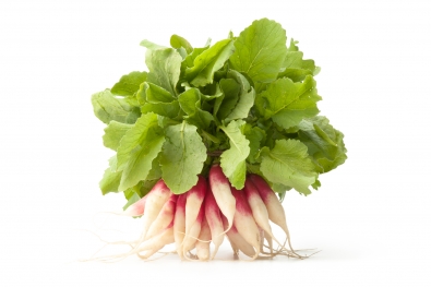 French Breakfast Radishes with Greens