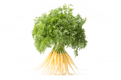 Baby White Satin Carrots with Greens