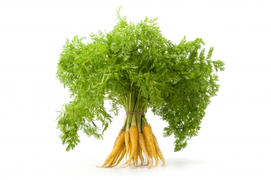 Golden Yellow Carrots with Greens
