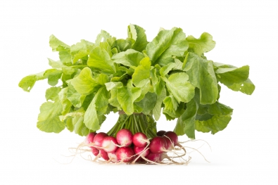 Sparkler Radishes with Greens