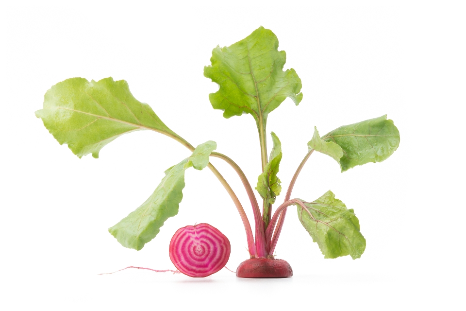 Chioggia Beets with Greens